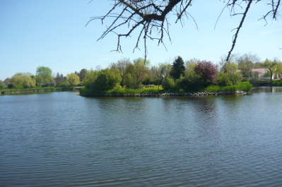 photo 1471710