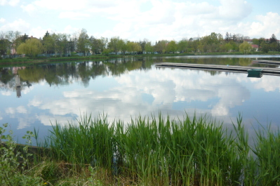 photo 1471716