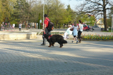 photo 1471719