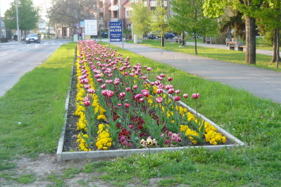 photo 1471721