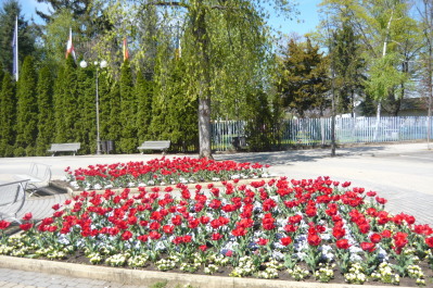 photo 1471724