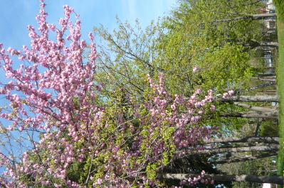 photo 1471725