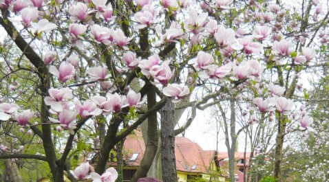 photo 1471727