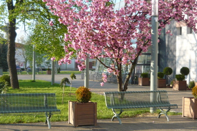 photo 1471730