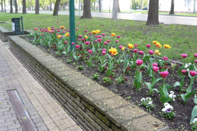 photo 1471731