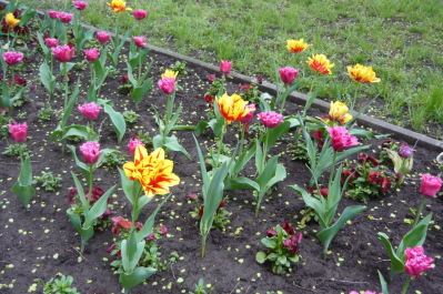 photo 1471732