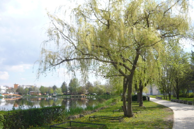 photo 1471734