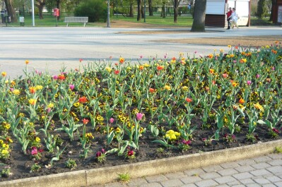 photo 1471742