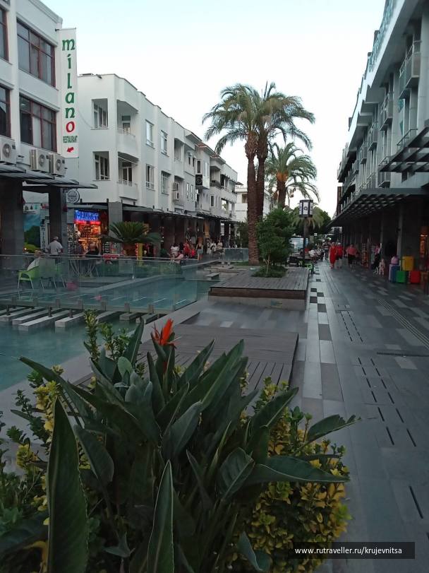 photo 2129269