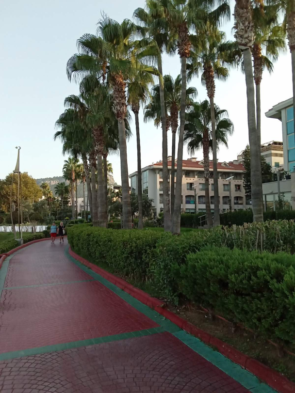 photo 2129270