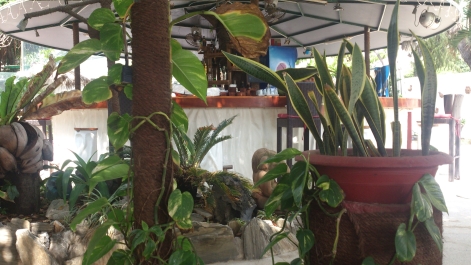 photo 1267612