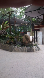 photo 1267613