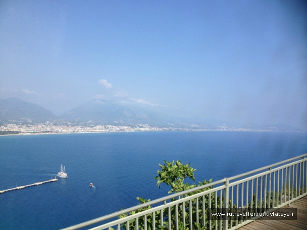 photo 804915