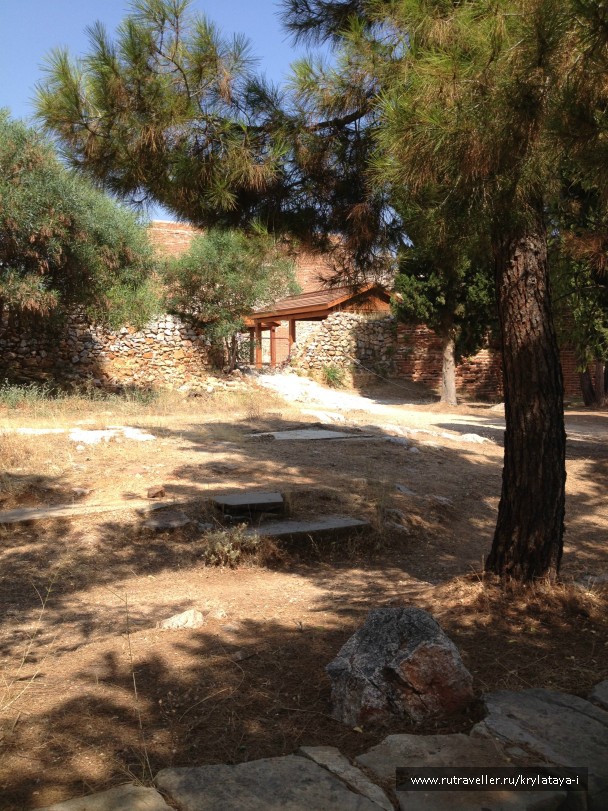 photo 804919
