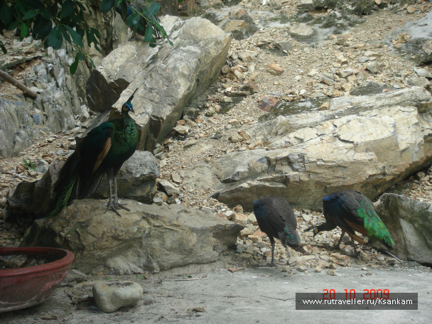photo 117034