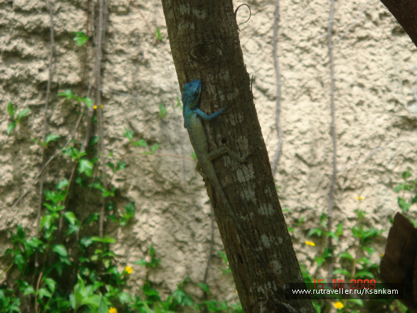 photo 117058