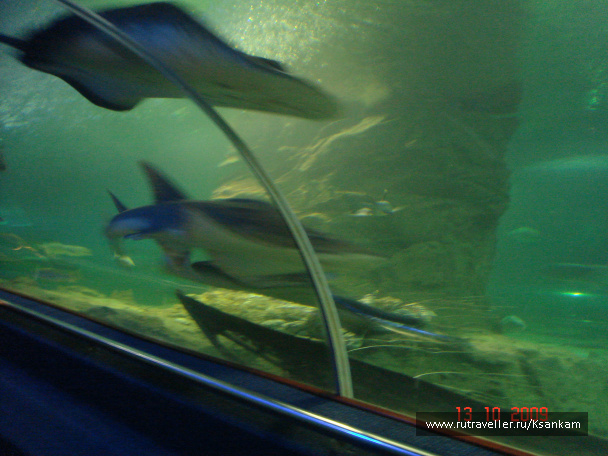 photo 117061