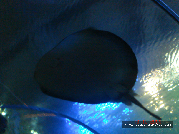 photo 117062