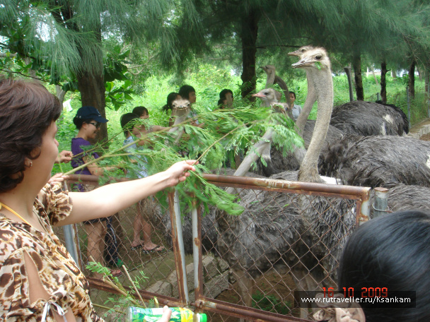 photo 117072