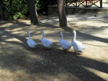 photo 845947
