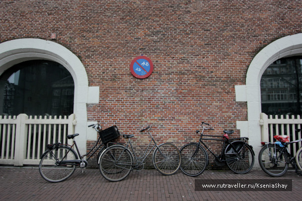 photo 258926