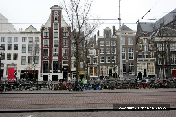 photo 258928