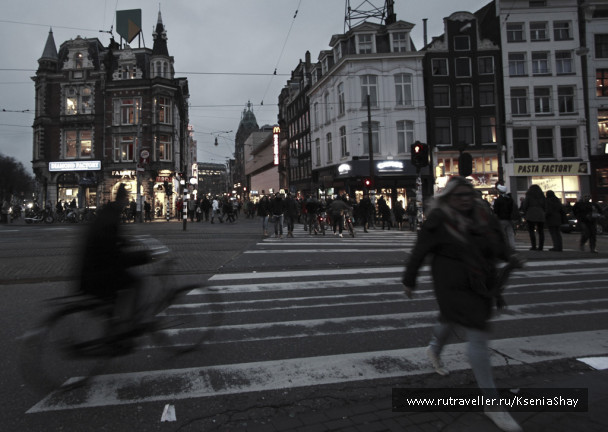 photo 258929