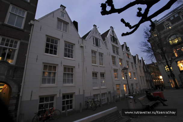 photo 258933