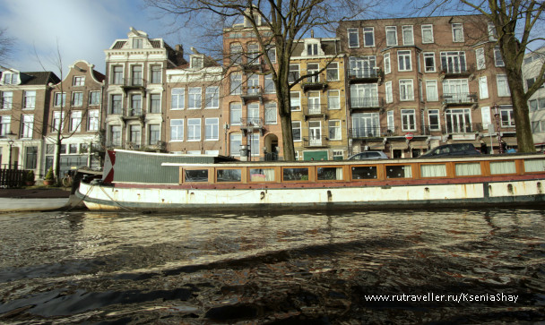 photo 258934