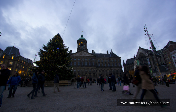 photo 258938