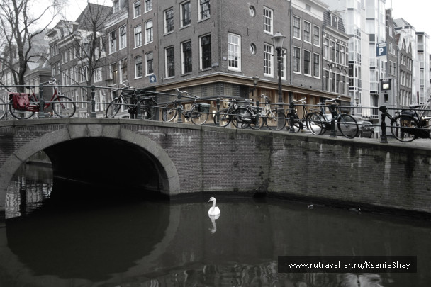 photo 258940
