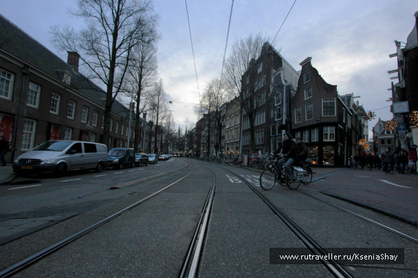 photo 258941