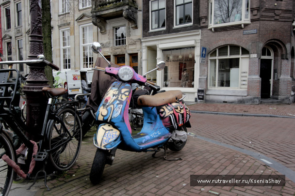 photo 258942
