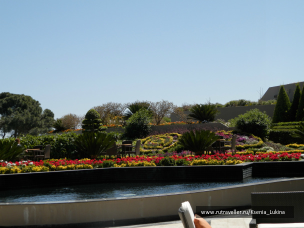 photo 384512