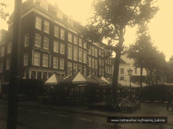 photo 599454