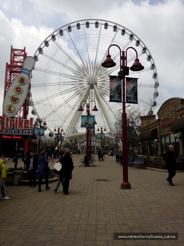 photo 893847