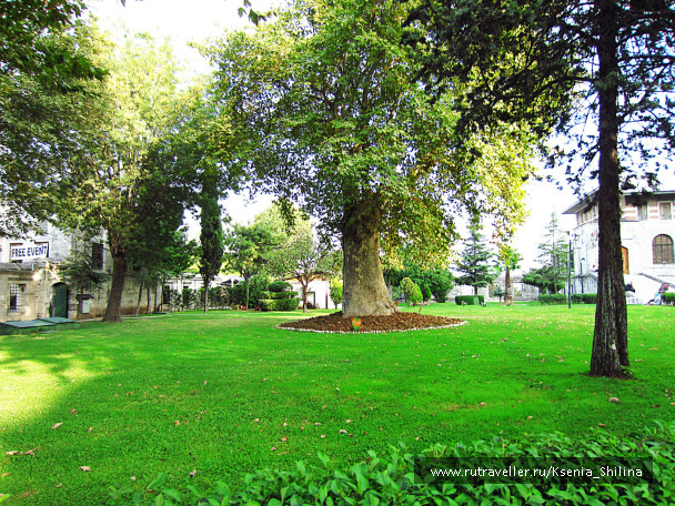 photo 357191