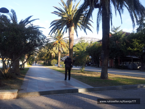 photo 1454507