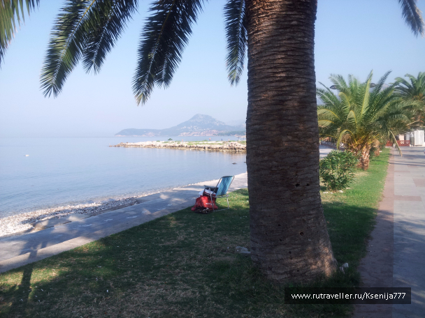 photo 1454511