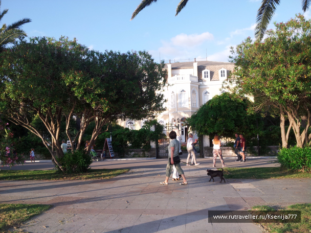photo 1454513