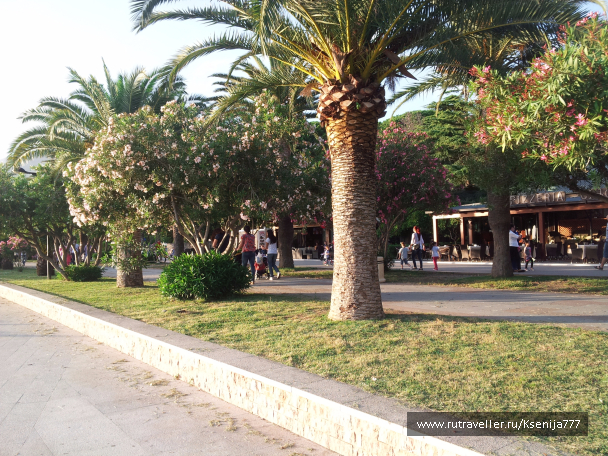 photo 1454514