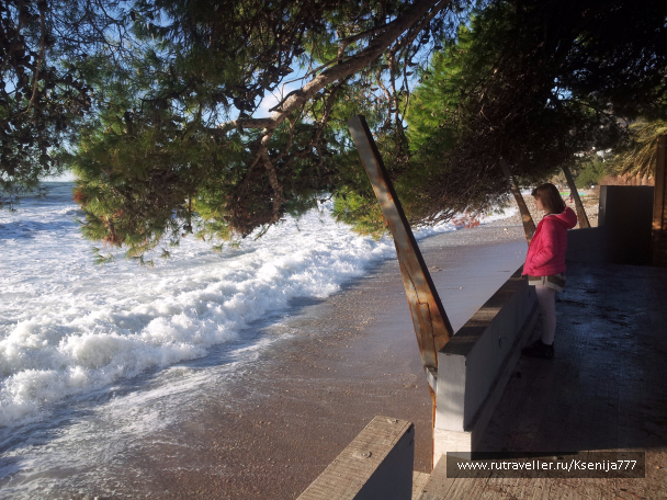 photo 1454517