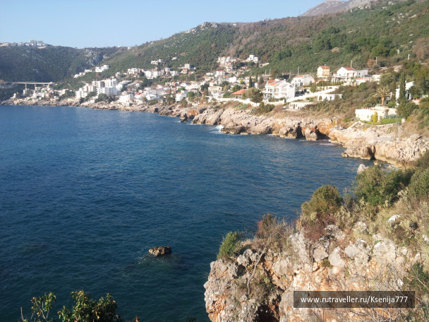 photo 1454553