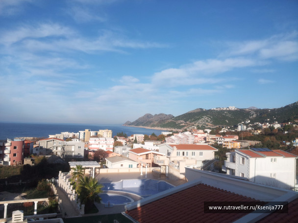 photo 1454557