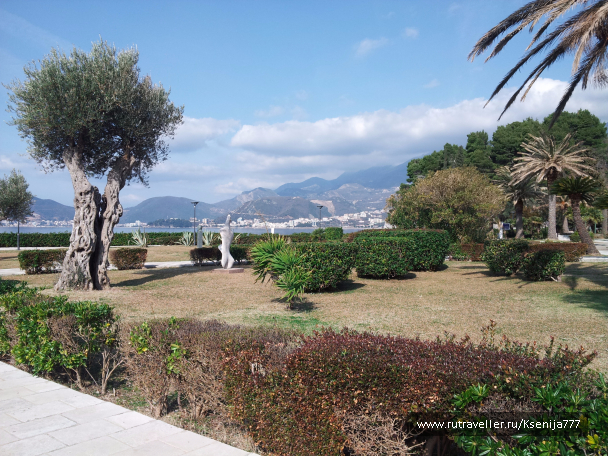 photo 1454608