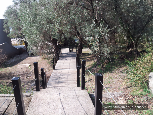 photo 1454613