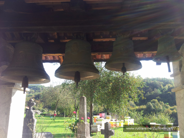 photo 1454658