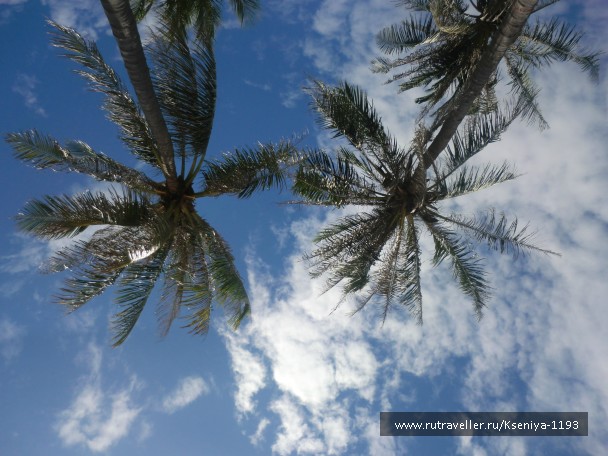 photo 843296