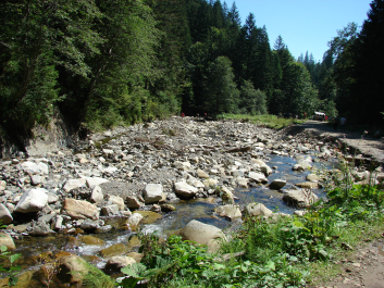 photo 670745
