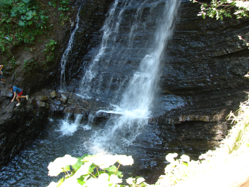 photo 670746